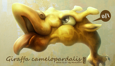 Giraffa camelopardalis-長頸鹿