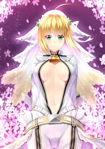 Fate EXTRA ccc